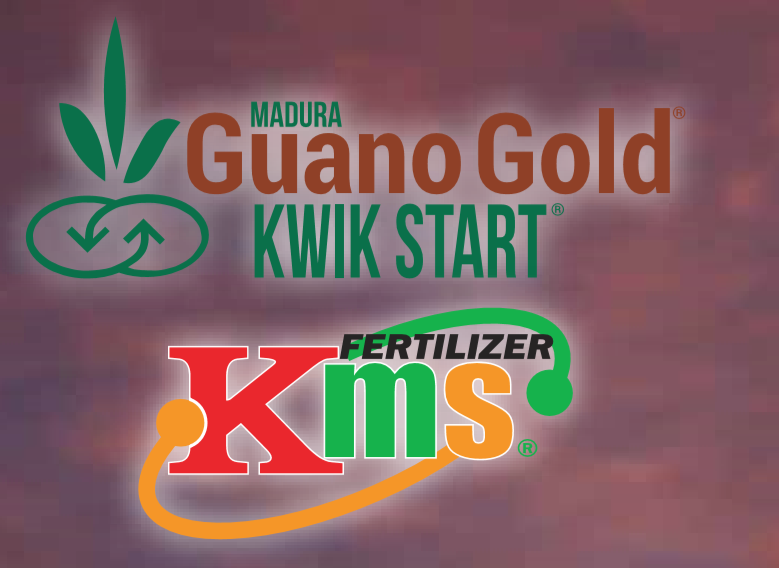 MADURA GUANO GOLD